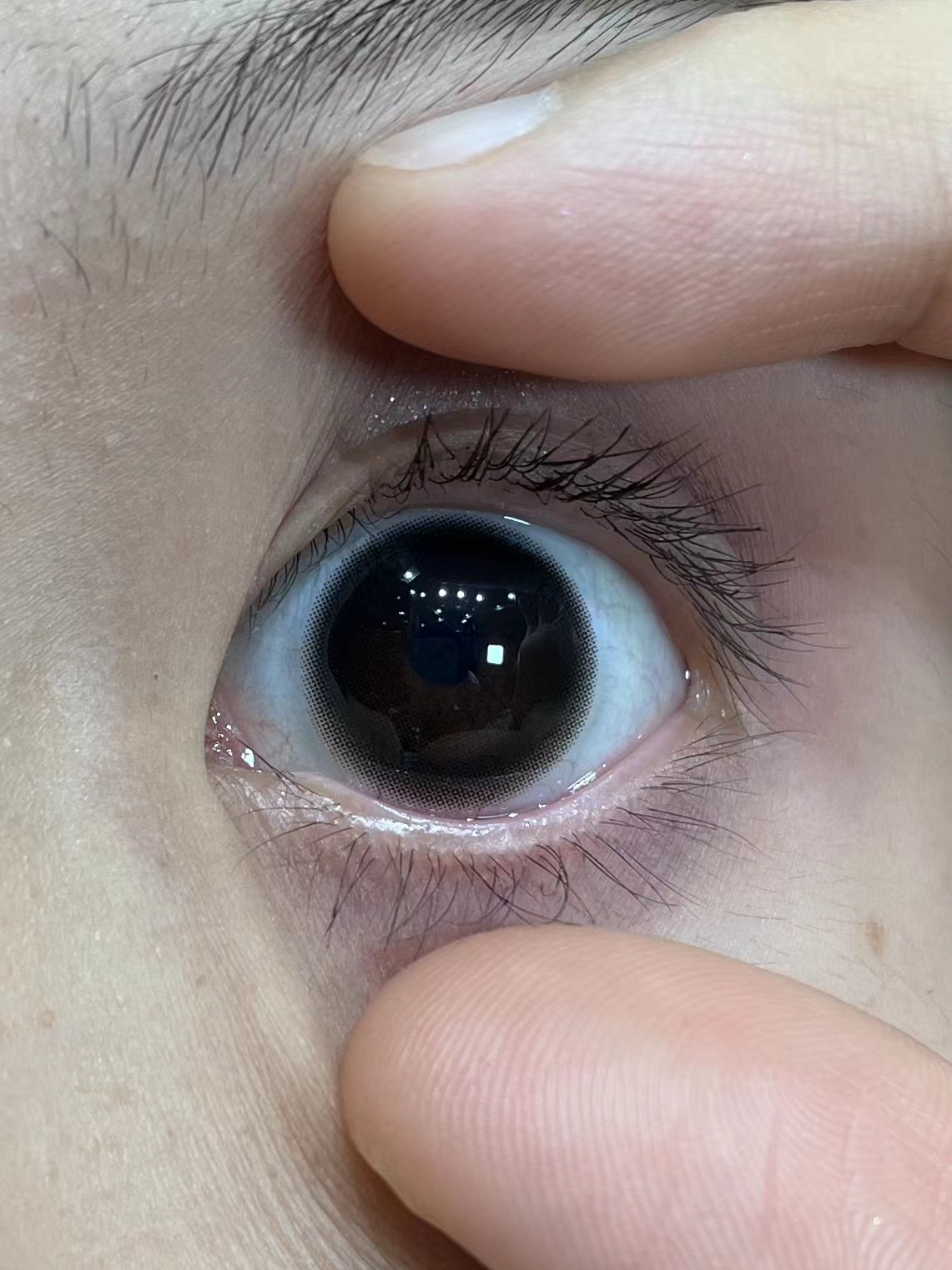 Favorr beauty 黑魔法 年抛 直径14.0 着色13.2 含水38% 基弧8.6