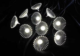 10头海葵灯串【运费自理】