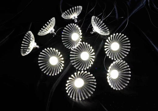 10头海葵灯串【运费自理】 商品图0