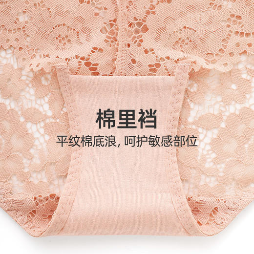 HSIA遐内裤夏2条装棉底裆时尚字母带撞色轻薄全蕾丝中腰平角裤 商品图4