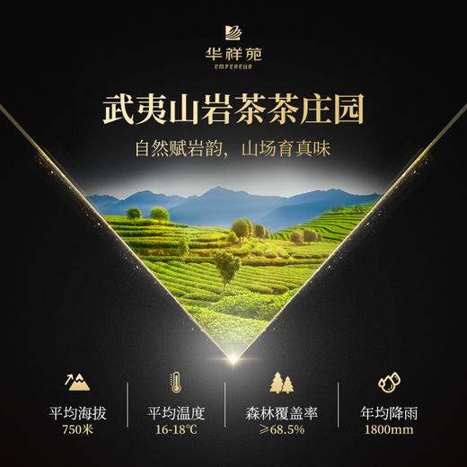 华祥苑-贵宾茶特级水仙 200g礼盒 商品图8