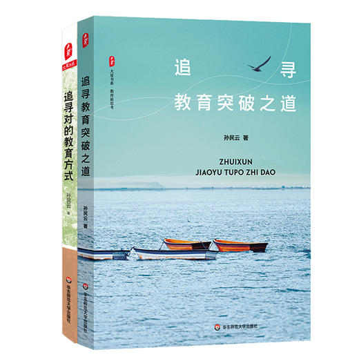追寻教育突破之道+追寻对的教育方式 大夏书系 孙民云 商品图0
