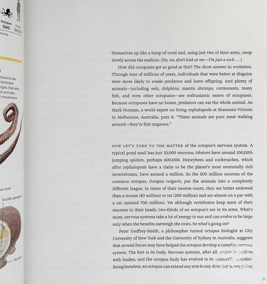 预售 【中商原版】章鱼 海马 水母 英文原版 Octopus Seahorse Jellyfish DAVID LIITTSCHWAGER 商品图7