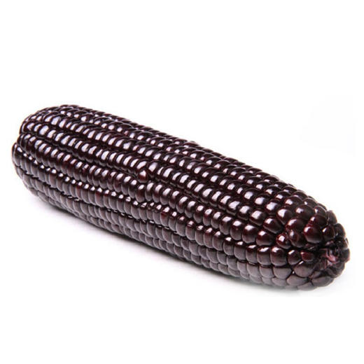 自营（月亮湾）-黑玉米 香糯甜玉米棒 新玉米真空包装 商品图8