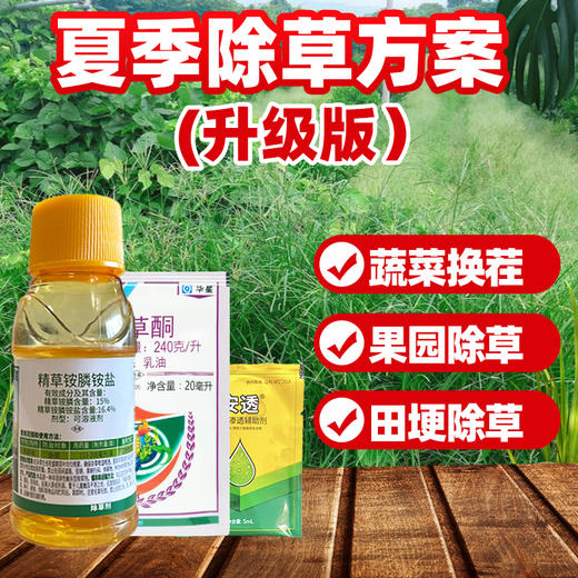夏季除草方案 果园及田埂除草升级版套餐 精草铵膦铵盐除草剂喷施 商品图1