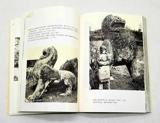 西洋镜系列丛书，16开，全28辑，书目见后，赵省伟编，中国画报等出版社2015年-2022年版，全28辑，定价3982，售价1888元。 商品图2