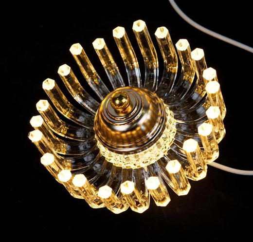 3头珊瑚灯串【运费自理】 商品图0