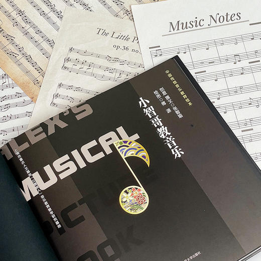 小智哥教音乐 通往中国传统音乐之门 上海音乐学院余丹红教授倾力推荐 商品图3