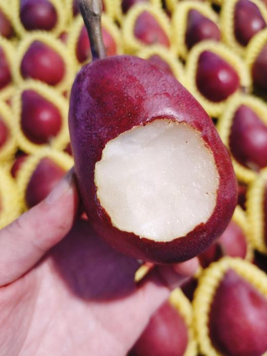 全红茄梨3斤（拼团） 商品图1