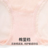 HSIA遐中腰平角裤女2023新款浪漫星点裙边夏季性感薄款网纱内裤女 商品缩略图4