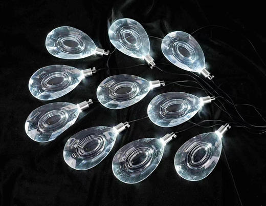 10头羽翎灯串【运费自理】 商品图0