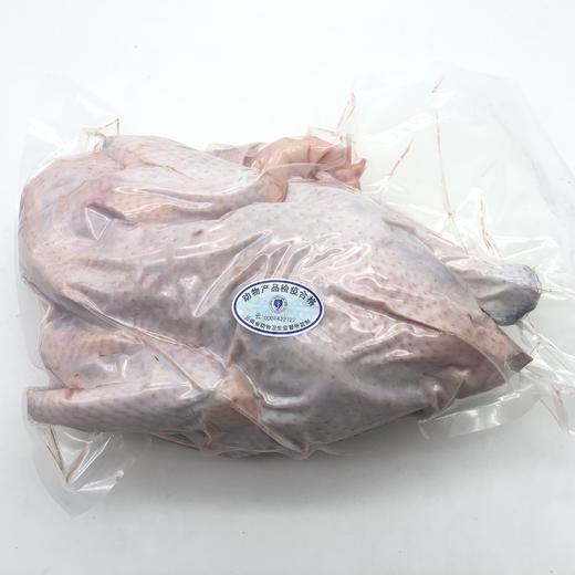 【高原山地散养濮蛮鸡】云南生鲜鸡肉 鸡肉紧实 鲜香美味 五谷慢养 自然觅食 山林慢养才有味 4种规格任选 商品图6