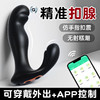 【后端专拍】谜姬 希维尔前列腺 商品缩略图0