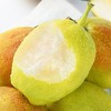 枝悦 山西运城红香酥梨 酥脆多汁 清甜爽口 果园直采 72小时发货（果蔬生鲜签收24小时内保留完整包装面单可售后，超时不予理赔，拍下默认接受） 商品缩略图2