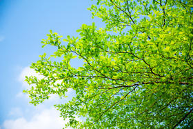 夏日补阳倒计时！轻松一贴阳气升！