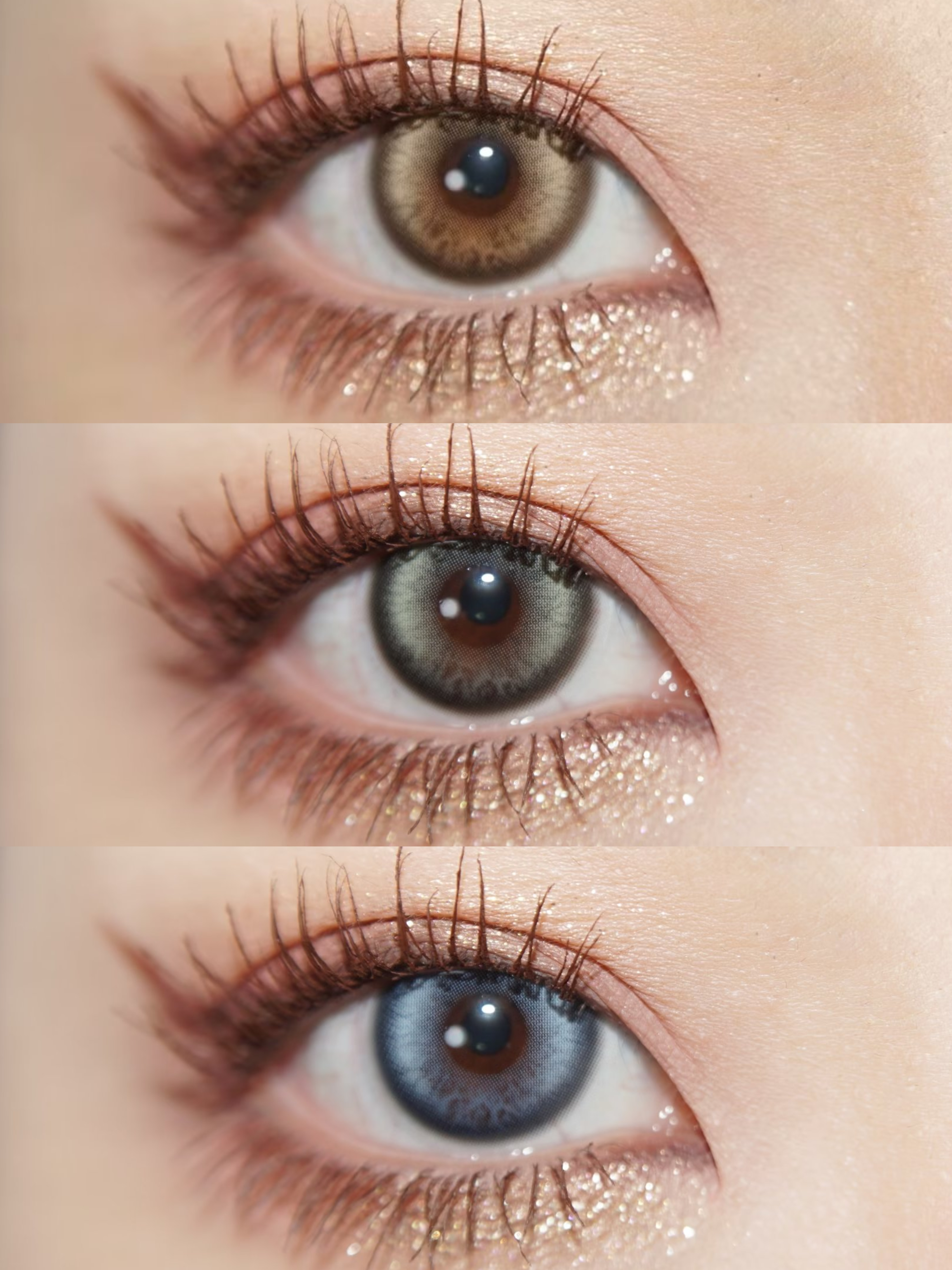 papadox 日抛 虹膜蓝/ 虹膜灰绿/虹膜棕  高光混血款  【日抛14.2mm一盒10片】