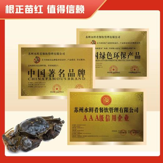 水鲜肴 | 用心挑选·唯您专享【阳澄湖大闸蟹 】 商品图6