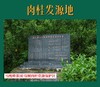 限定款【约我】马枕峰肉桂 武夷岩茶     6克*4泡 商品缩略图8