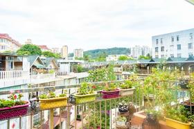 昆明慢姑娘蓝花楹园别墅轰趴