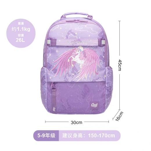 【云粉节】 9楼光明园迪    GMT护脊书包（4-6年级学生书包）吊牌价698元   活动价648元 商品图0
