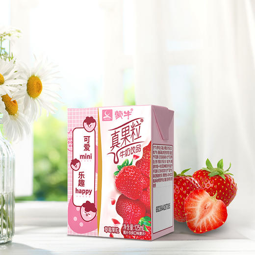 蒙牛小胖丁真果粒草莓味125ml*20 商品图2