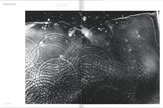 【现货】Michael Flomen: Photograms and Photographs. 2020 – 1970 | 迈克尔·弗洛曼：摄影作品2020 - 1970 商品图5