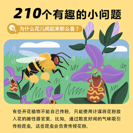 我的小问题·科学 第1-2辑 合辑 （全14册） 商品图7