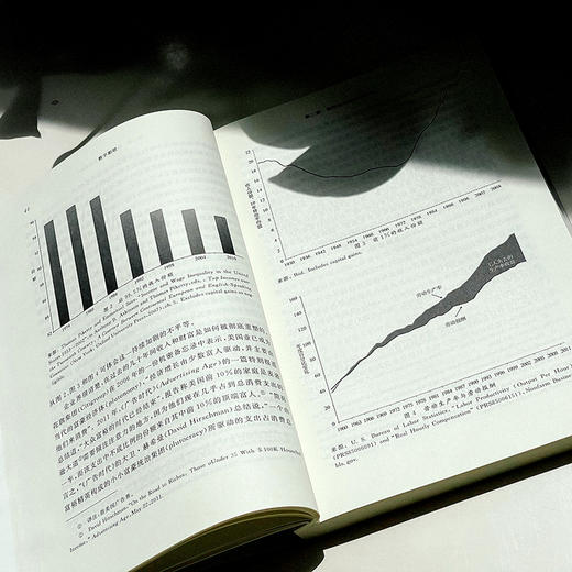 数字断联 批判传播学译丛系列 简明美国互联网发展史 传播政治经济学 商品图10