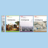 《中国国家历史》第5套（17-19期）共3册 商品缩略图1