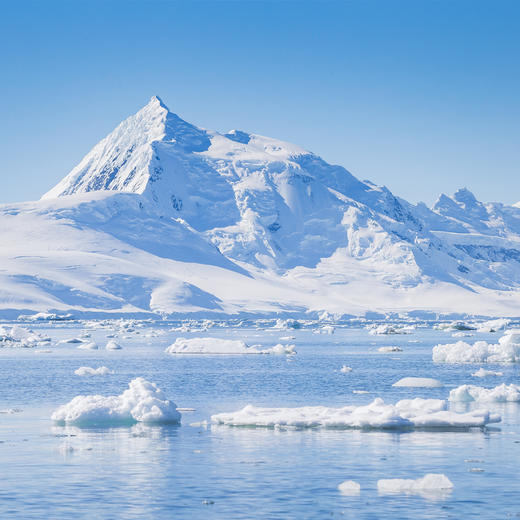 【去南极过大年】南极秘境探险17日·乘坐五星邮轮-海洋信天翁号，获得一张通往世界尽头的船票|航程舒适+探险无忧+穿越德雷克海峡+与企鹅海豹亲密接触+乘坐冲锋艇偶遇鲸鱼） 商品图2