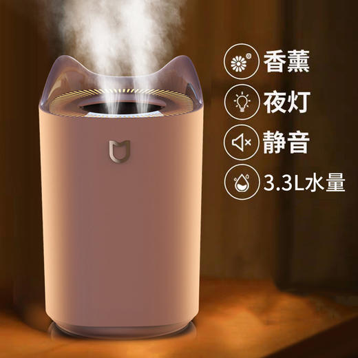 新款USB双喷口大容量加湿器，是室内独享舒适空气的伴侣。静音设计，不会打扰到您的工作和休息，给您一个优美的氛围，在枯燥乏味的办公室以及家中缓解身心疲惫，让您安享一份放松和舒适！ 商品图2