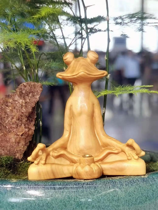 禅蛙°黄杨香插 商品图0