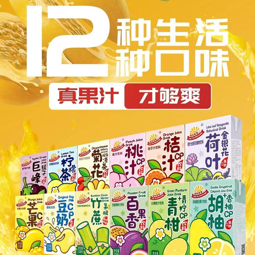 阳光先生系列果汁饮料 小厨 商品图0