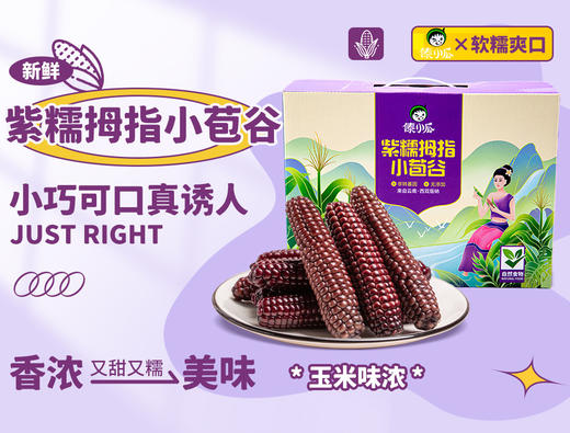 适合孩子的小棒玉米，不费腮帮子的紫糯拇指小苞谷！  基地直邮 商品图1