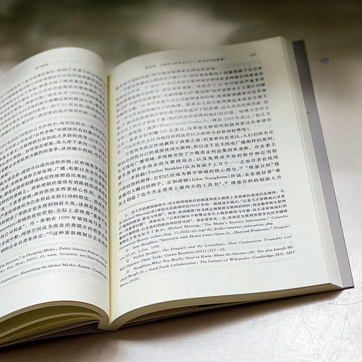 数字断联 批判传播学译丛系列 简明美国互联网发展史 传播政治经济学 商品图11