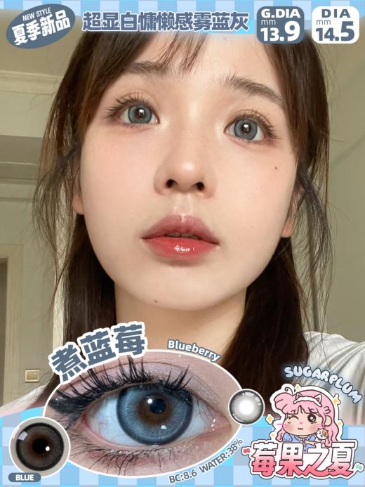 Sugarplum糖豆家-煮蓝莓 商品图0