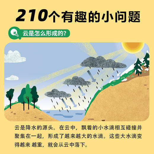 我的小问题·科学 第1-2辑 合辑 （全14册） 商品图6