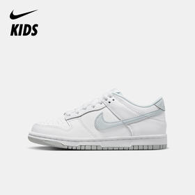 Nike Dunk Low (GS) 大童运动童鞋复古板鞋 DH9765-102