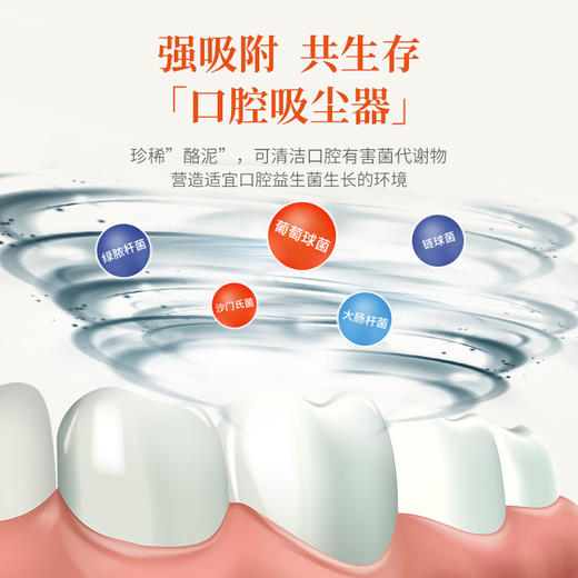 珍稀“酪泥”&丰富矿能元素 给口腔做个SPA   矿能泥牙膏 商品图2