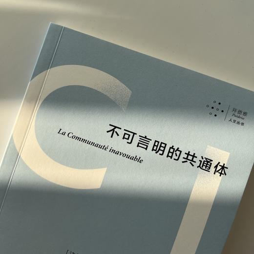 不可言明的共通体（布朗肖晚期代表作，七年之后，绝版再来，译文全面修订） 商品图5