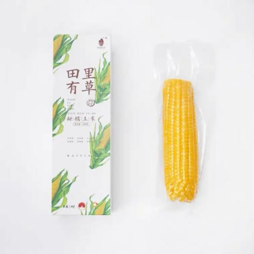 【现货】【早餐系列】田里有草甜糯玉米1件10支 0防腐0农药0添加0化肥 人工除草 非转基因 商品图5