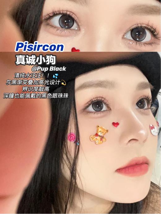 PisirCon 真诚小狗 10片/盒（日抛型） 商品图0