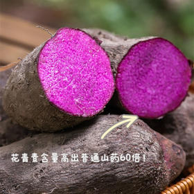 生态赣南紫山药  当地特产，老品种 102项农残0检出