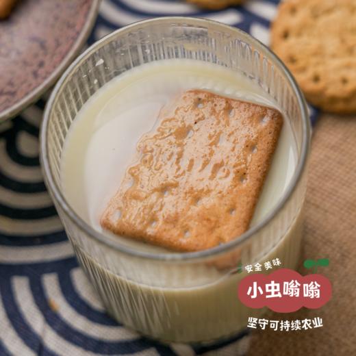 生态唐式饼干（枣儿全麦饼干/山核桃酥饼干） | 公社合作农人 | 合作农友生产，产自陕西咸阳，生产者：大黑&【公平贸易农人定价】 商品图10