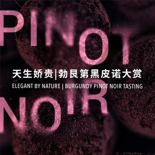 【2023.8.19武康门票 Wukang Ticket】天生娇贵，勃艮第黑皮诺大赏 Elegant by Nature, Burgundy Pinot Noir Tasting 商品图0