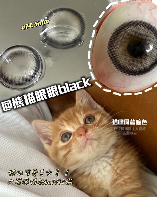 PisirCon 熊猫眼眼 10片/盒（日抛型） 商品图0