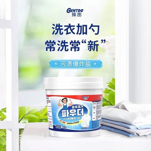 臻图 污渍爆炸盐 1kg 商品图0
