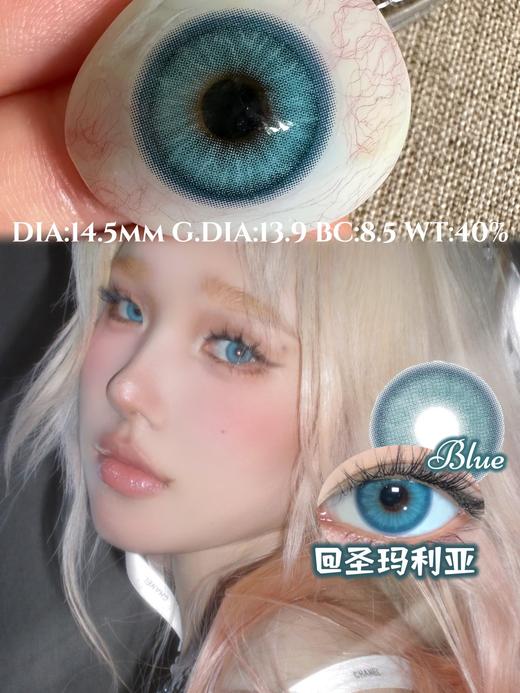 PisirCon 圣玛利亚 10片/盒（日抛型） 商品图1