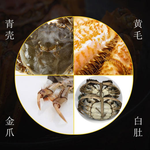 水鲜肴 | 用心挑选·唯您专享【阳澄湖大闸蟹 】 商品图5