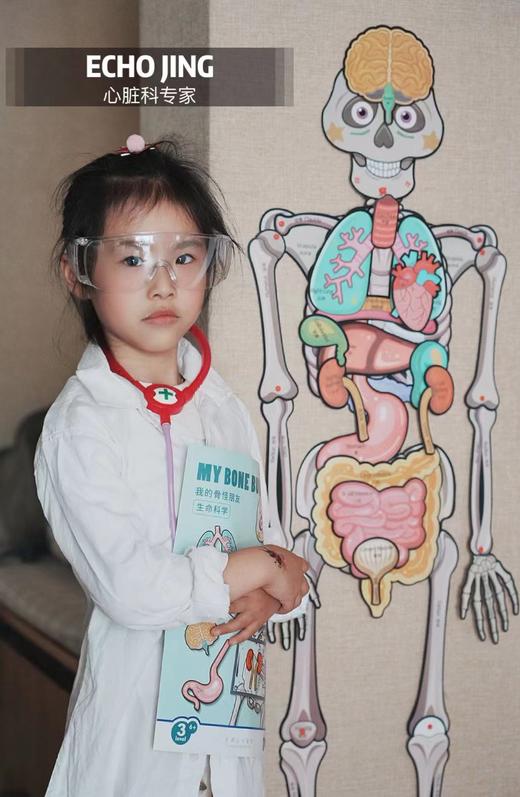 【蝙蝠兔】我的骨怪朋友✅专为儿童科普设计，了解身体构造知识✅13个器官与9个功能片，丰富配件展示器官位置✅视频教学轻松拼装，医生模拟角色扮演✅环保PP材质，防水防撕可反复拆卸。 商品图1